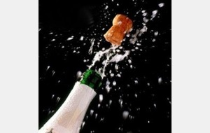 MEILLEURS VOEUX  POUR 2011