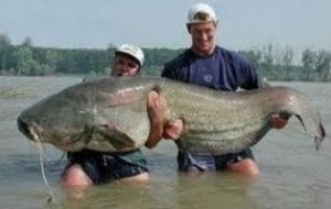 *****POISSON D'AVRIL******