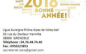 VOEUX DE LA LIGUE RHÔNE ALPES DE VOLLEY