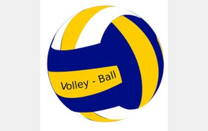 DOSSIERS D'INSCRIPTION VOLLEY FFVB 2018/2019