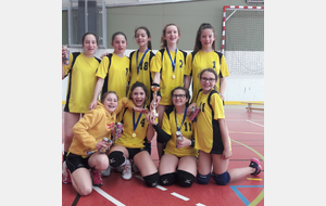 SECTION VOLLEY DU COLLEGE JULES VERNE DE VARCES