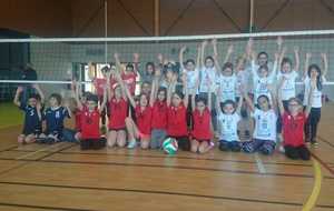 TOURNOI SMASHY DU 15 FEVRIER A VIF