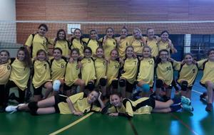 RESUME DE LA SAISON DES BENJAMINES DU COLLEGE JV