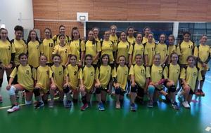 RESUME DE LA SAISON DES MINIMES DU COLLEGE