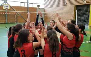 LES M 15 F CHAMPIONNES DEPARTEMENTALES 6X6