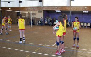 100_6815 [800x600].jpg