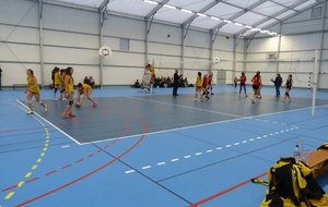 Gymnase du CollÃ¨ge de Vif.JPG