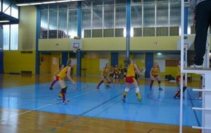 05/04/09 PFA ANNEMASSE VOLLEY 74 - USVG