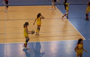 17/05/09 Finale Championnat Rhône-Alpes Benjamines