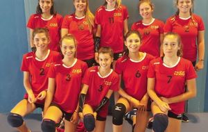 M 15 F, Départemental