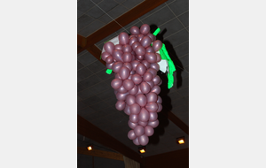 Une grappe de raisins