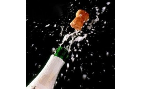 MEILLEURS VOEUX  POUR 2011