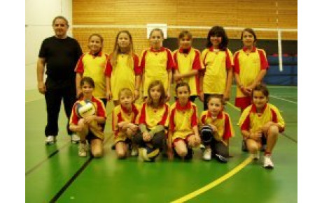 PLATEAU POUSSINES A BOURGOIN