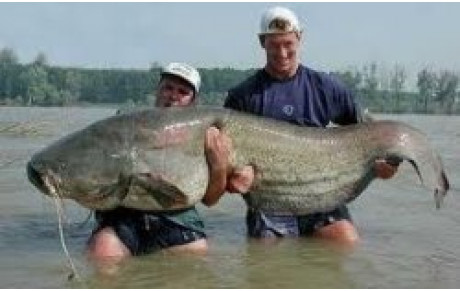 *****POISSON D'AVRIL******