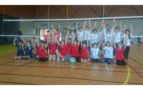 TOURNOI SMASHY DU 15 FEVRIER A VIF