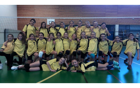 RESUME DE LA SAISON DES BENJAMINES DU COLLEGE JV