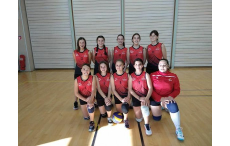 PLATEAU M 15 F A LA TOUR DU PIN