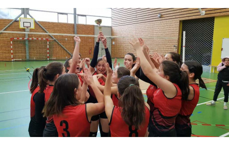 LES M 15 F CHAMPIONNES DEPARTEMENTALES 6X6